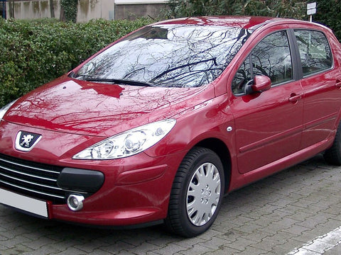 CARPLAY 307